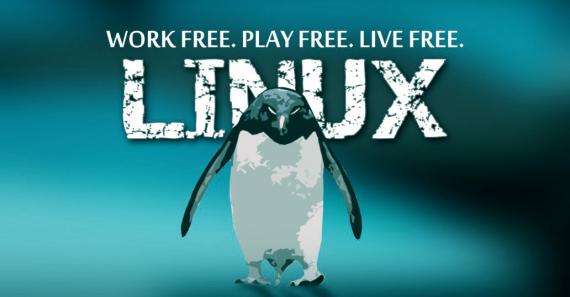 Linux添加FTP用户并设置权限
